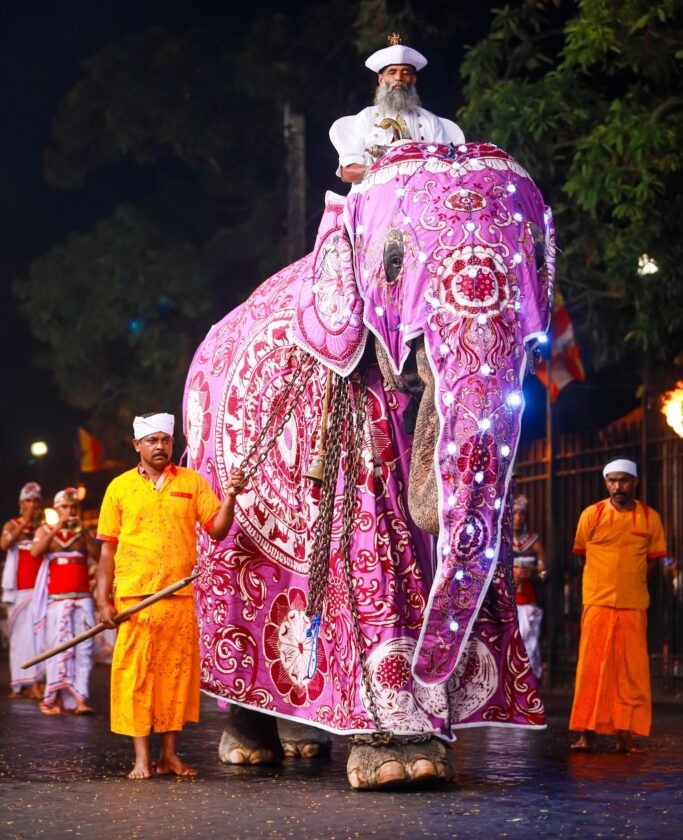 Hill Country Wonders 3